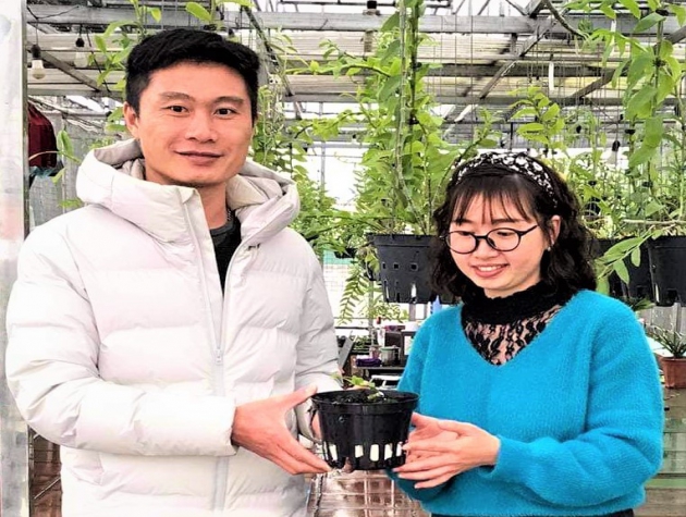 Lê Mạnh Chung người xây dựng vườn lan tiền tỷ giữa phố